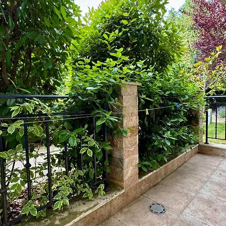 слънчево море