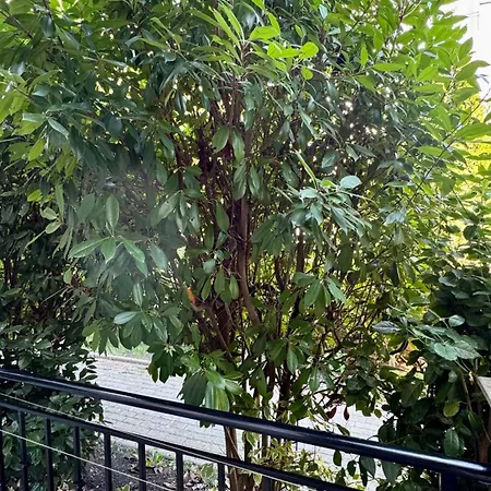 слънчево море شقة نيسيبار